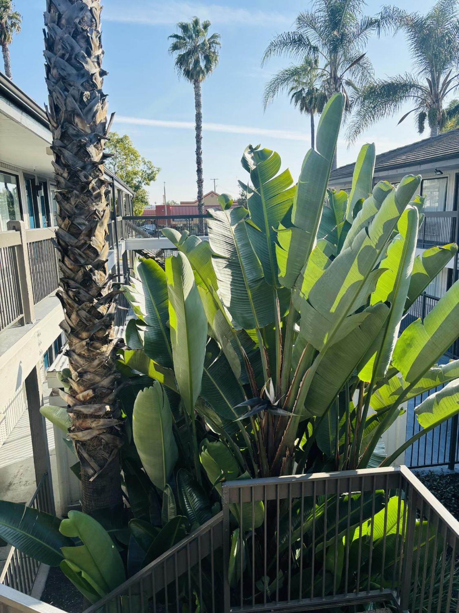 Motel 6-Santa Ana, Ca エクステリア 写真